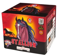 Stallion