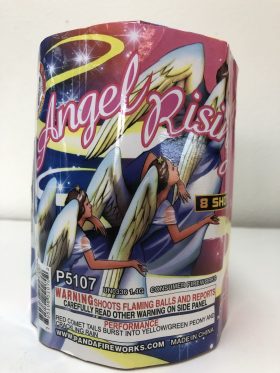 Angel Rising