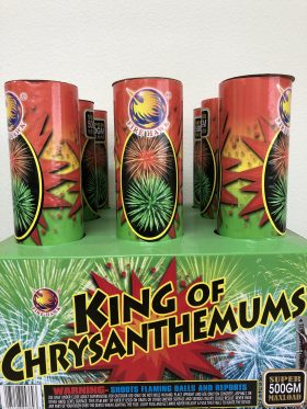 King of Chrysanthemum