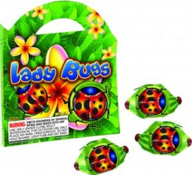 Lady Bugs