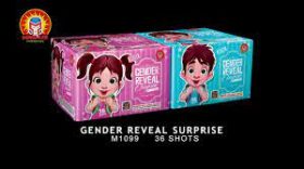Gender Reveal Surprise